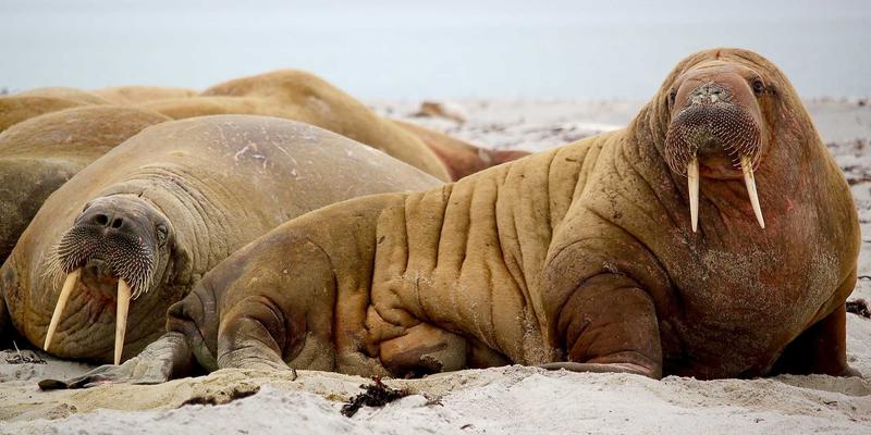 5G+编程:解锁企业数字化转型的服务器新纪元