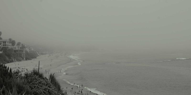 NOCPJ视角：网络技术如何成为企业数字化转型的“安全引擎”与“效率基石”