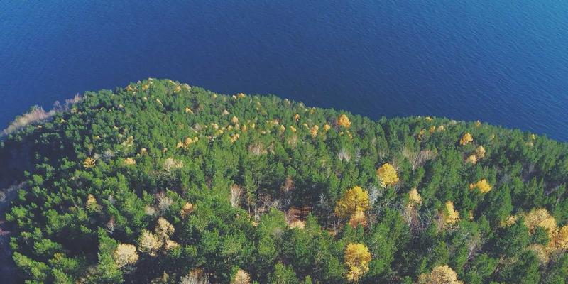 P4革命:从协议无关到自定义网络,如何用代码重塑数据平面?