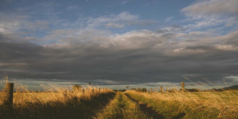 Segment Routing流量工程:如何通过软件定义思维重塑网络架构与安全运维