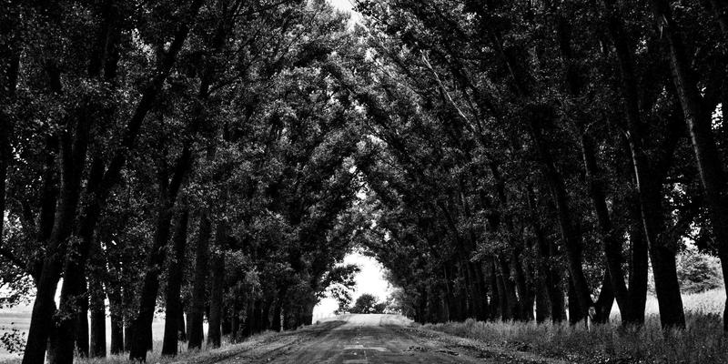 从NOCPJ视角解析:零信任架构如何重塑软件开发与网络安全的未来