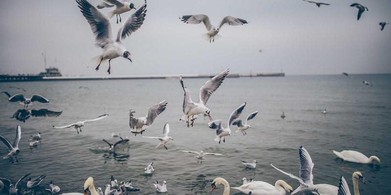 天地一体：卫星互联网与地面5G融合组网的技术架构、应用场景与核心挑战