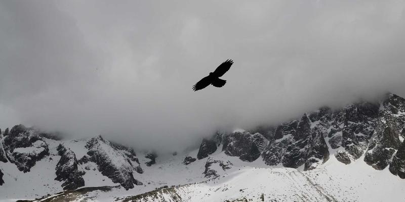 智能守护者：AI如何重塑网络异常检测与自动化响应新范式