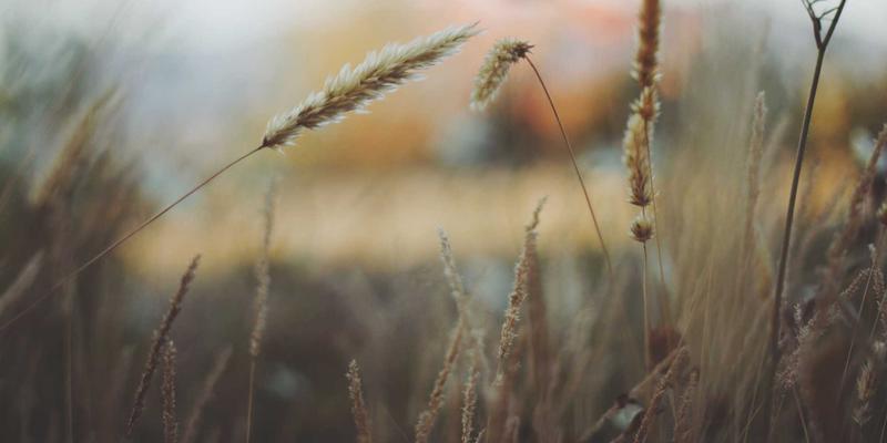 边缘计算与云计算协同：软件开发中的网络技术挑战与实战解决方案